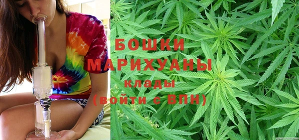 соль ск Вяземский