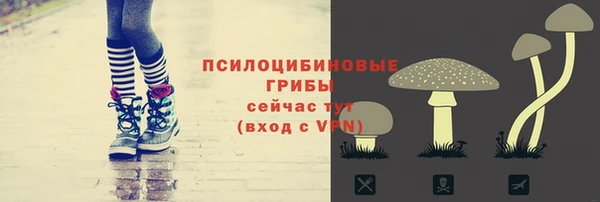 соль ск Вяземский