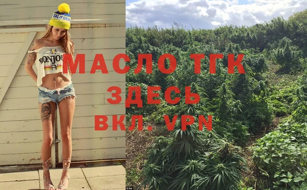 соль ск Вяземский
