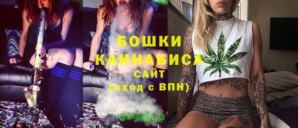 соль ск Вяземский