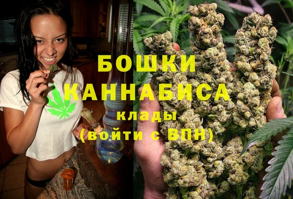 соль ск Вяземский