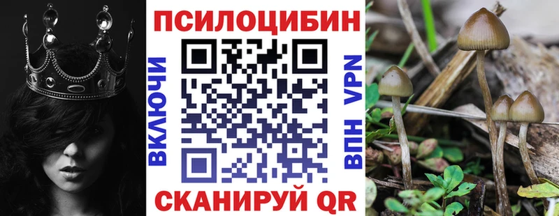 Псилоцибиновые грибы Psilocybe  Купить закладки  Старый Крым 